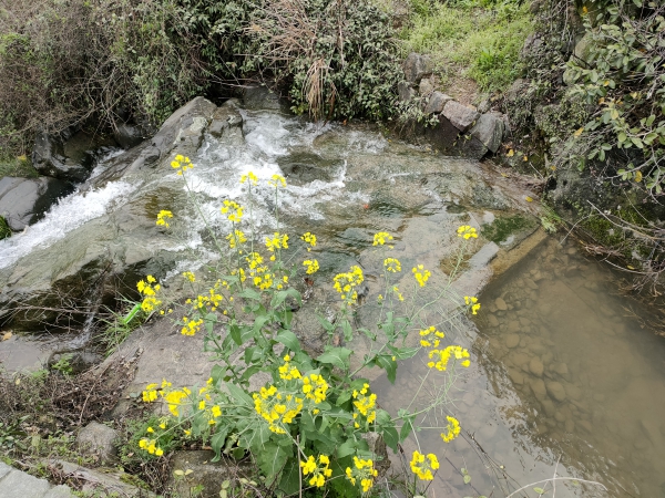 f:id:denim012:20210322094016j:plain