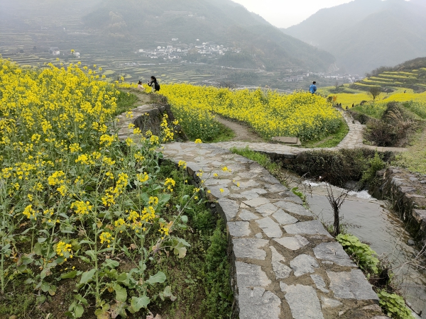 f:id:denim012:20210322094018j:plain