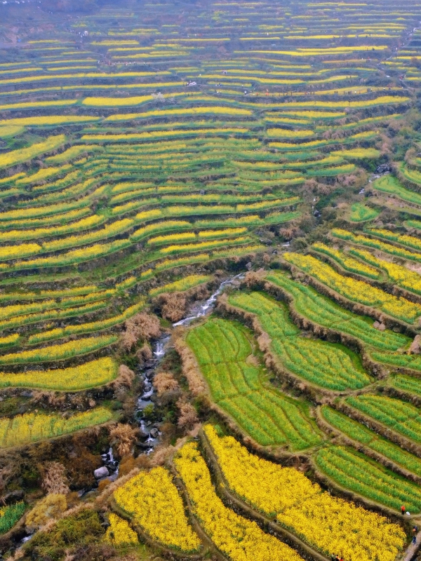 f:id:denim012:20210322140947j:plain