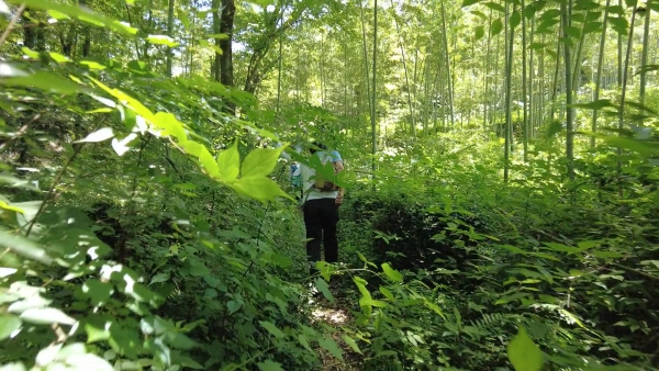 f:id:denim012:20210607114714j:plain