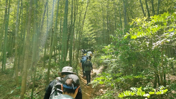 f:id:denim012:20210607172303j:plain