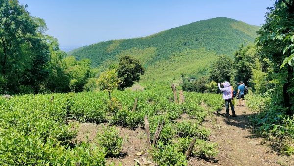 f:id:denim012:20210607172444j:plain