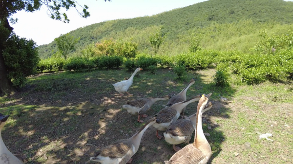 f:id:denim012:20210607172637p:plain