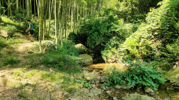 f:id:denim012:20210607172814j:plain