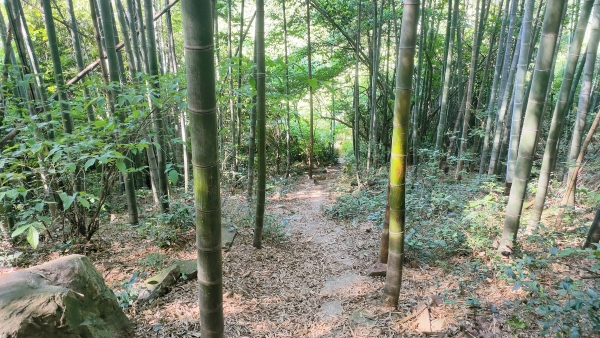 f:id:denim012:20210607173408j:plain