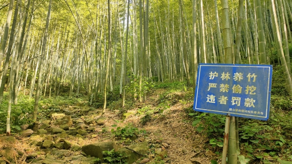 f:id:denim012:20210607173521j:plain