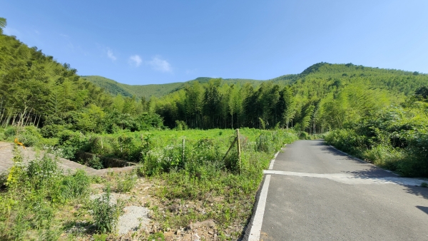 f:id:denim012:20210607173618j:plain