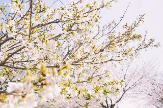 f:id:denimm1222:20190423123524j:image