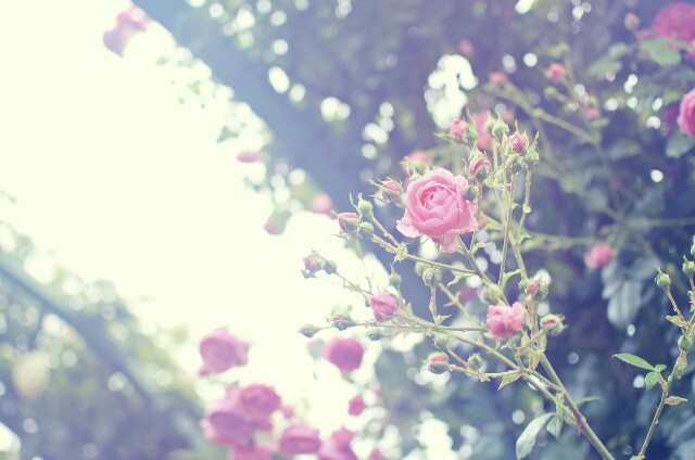 f:id:denimm1222:20200524223719j:image