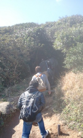 f:id:denjisou:20130220131444j:image f:id:denjisou:20130220131444j:image