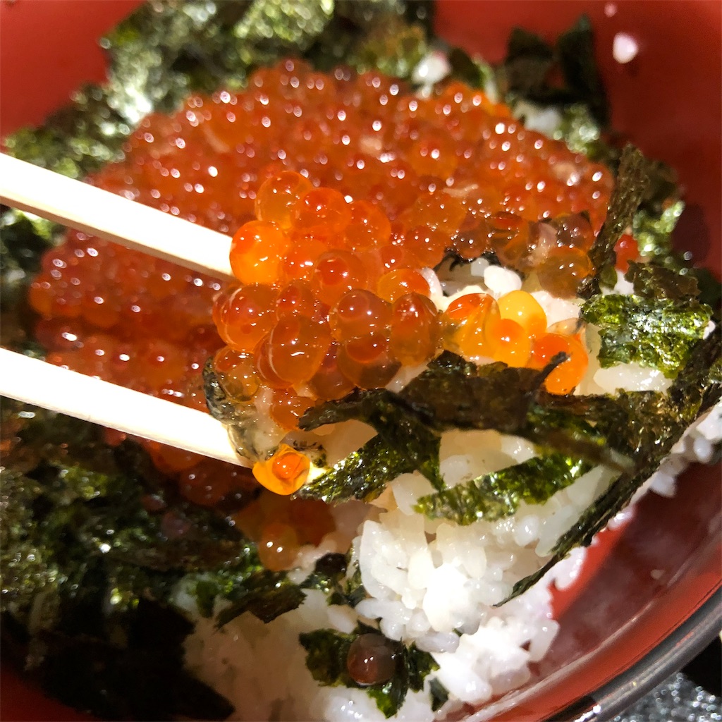 f:id:denkasou:20190323202047j:image