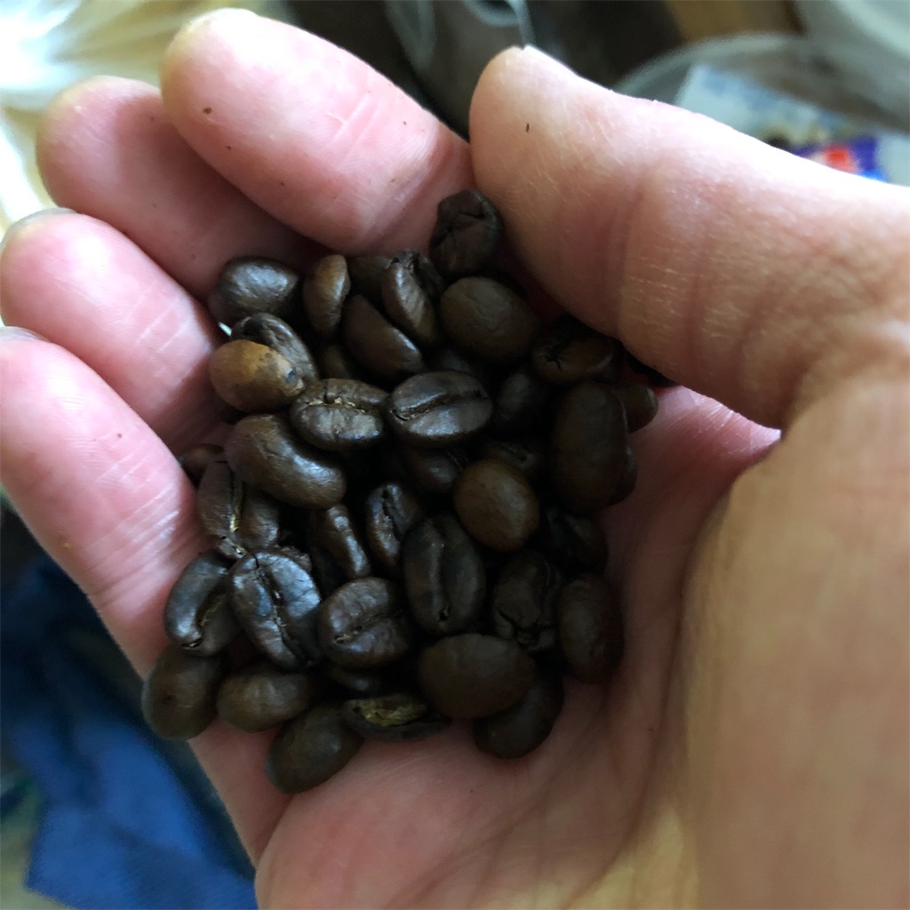 f:id:denkasou:20190324224134j:image