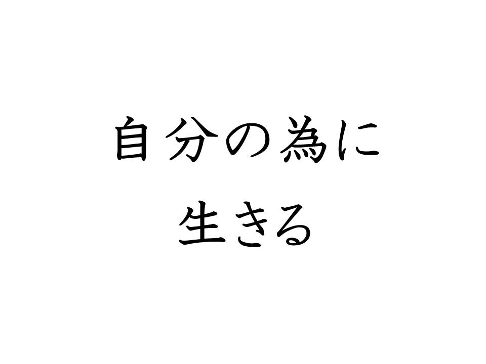 f:id:denken_1:20191211205405j:plain