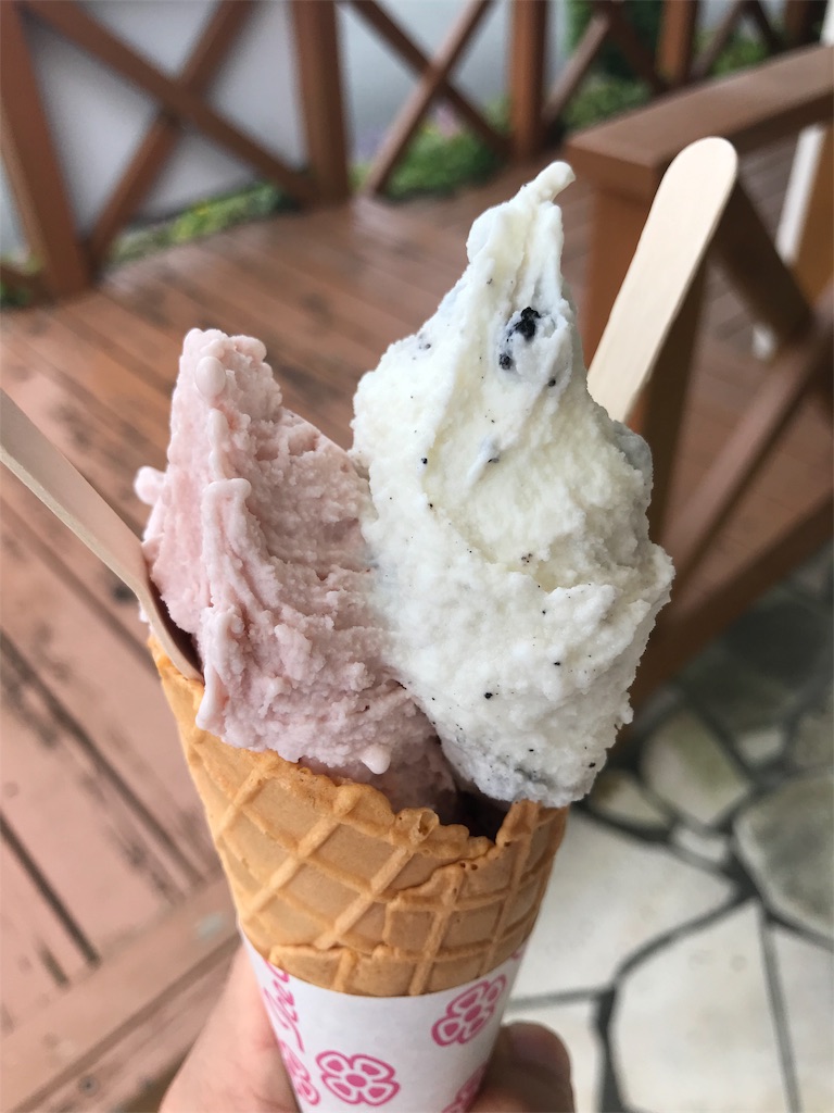 f:id:denkitunes:20190818142739j:image