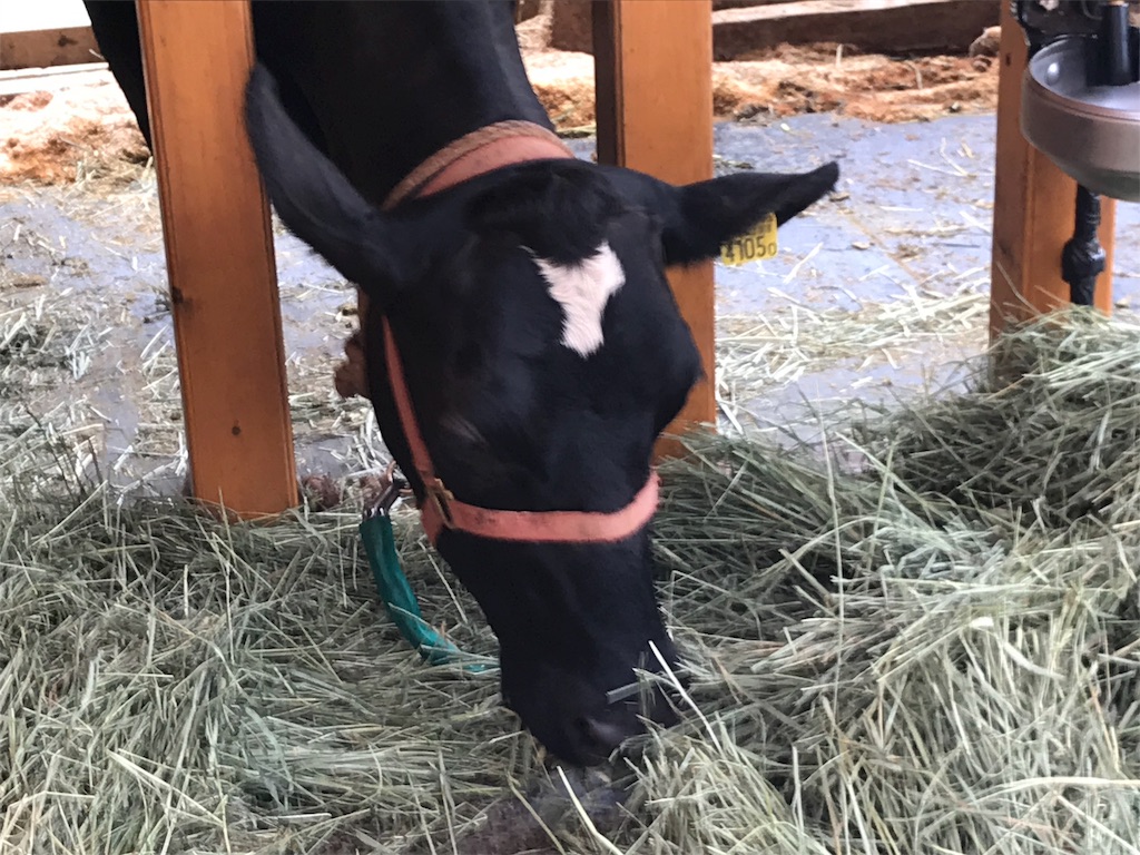 f:id:denkitunes:20190818143110j:image