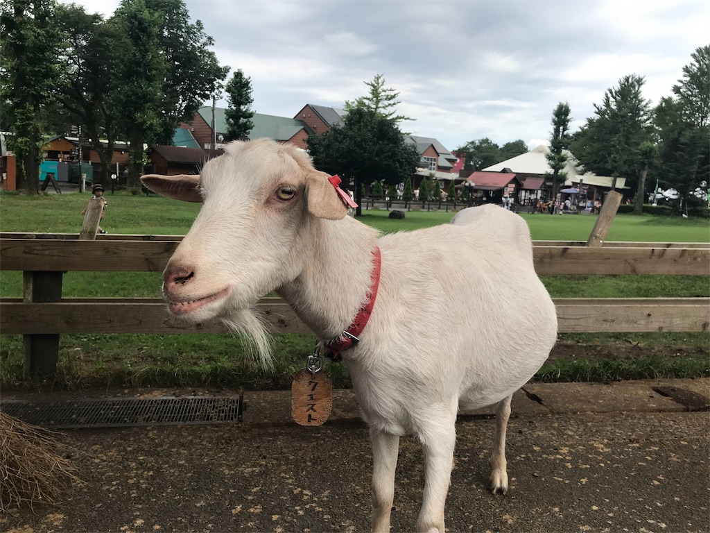 f:id:denkitunes:20190818143114j:image