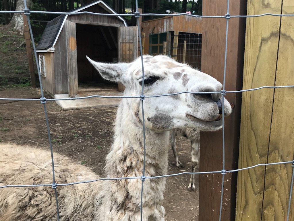 f:id:denkitunes:20190818143221j:image