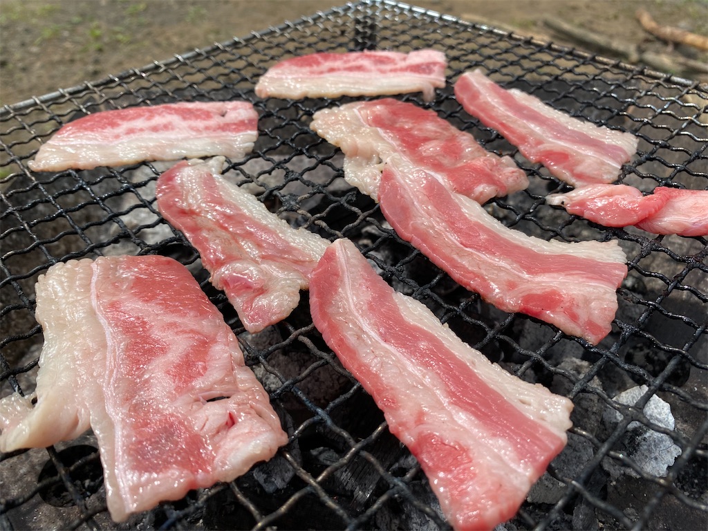 f:id:denkitunes:20200818180447j:image