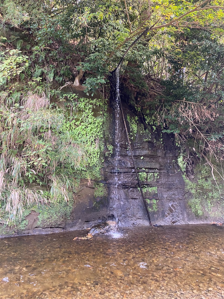 f:id:denkitunes:20201105180008j:image