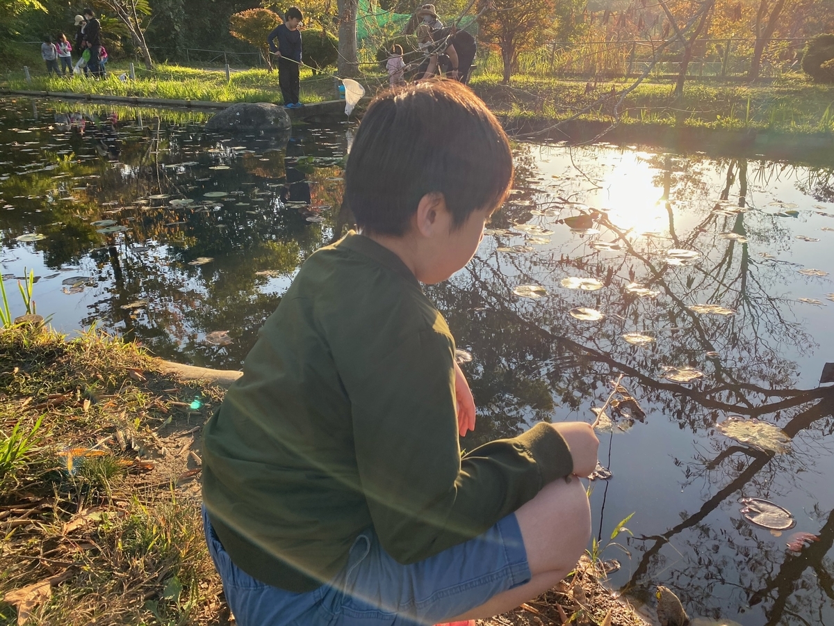 f:id:denkitunes:20201108134748j:plain