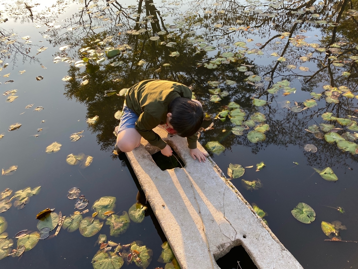 f:id:denkitunes:20201108134803j:plain