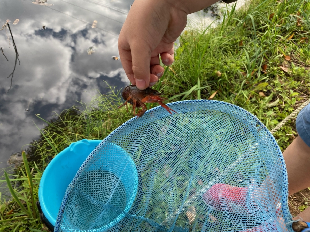 f:id:denkitunes:20201108134808j:plain