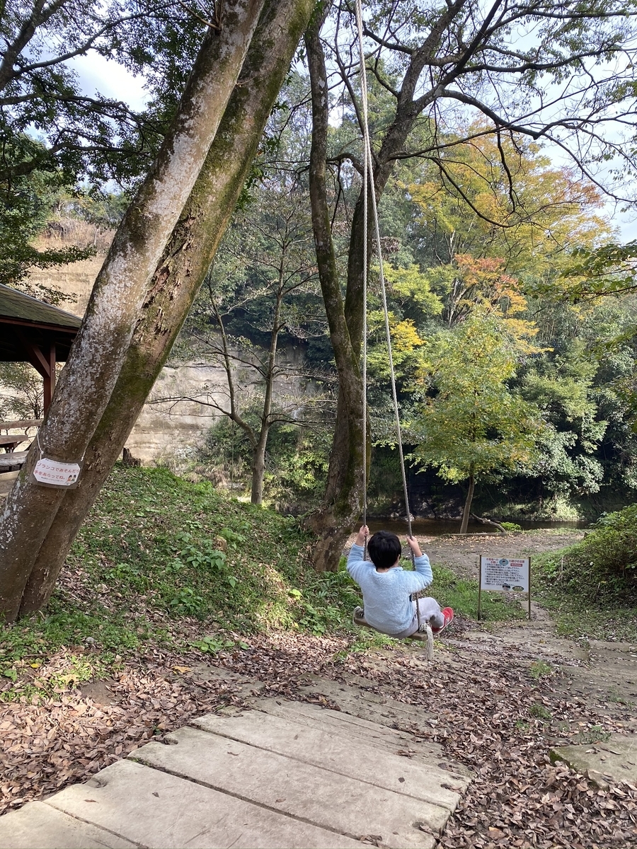 f:id:denkitunes:20201108141457j:plain