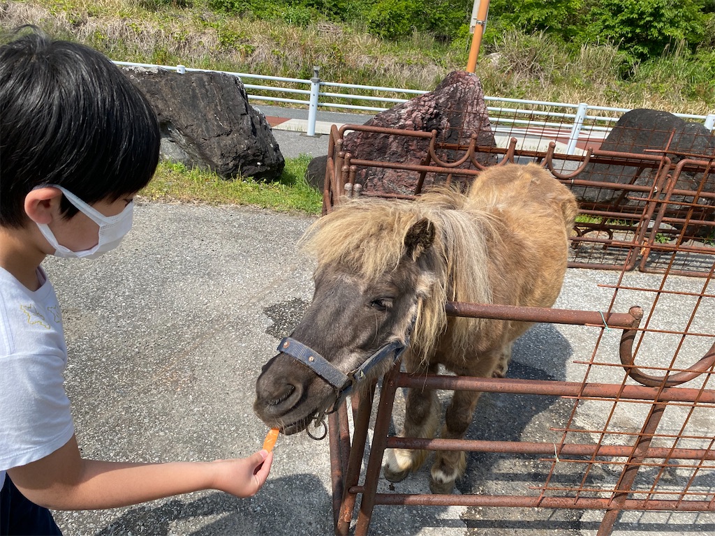 f:id:denkitunes:20210619113749j:image