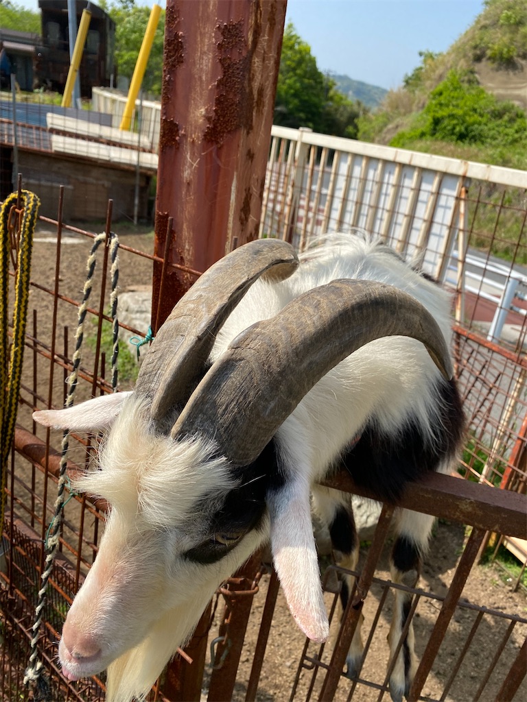 f:id:denkitunes:20210619113758j:image