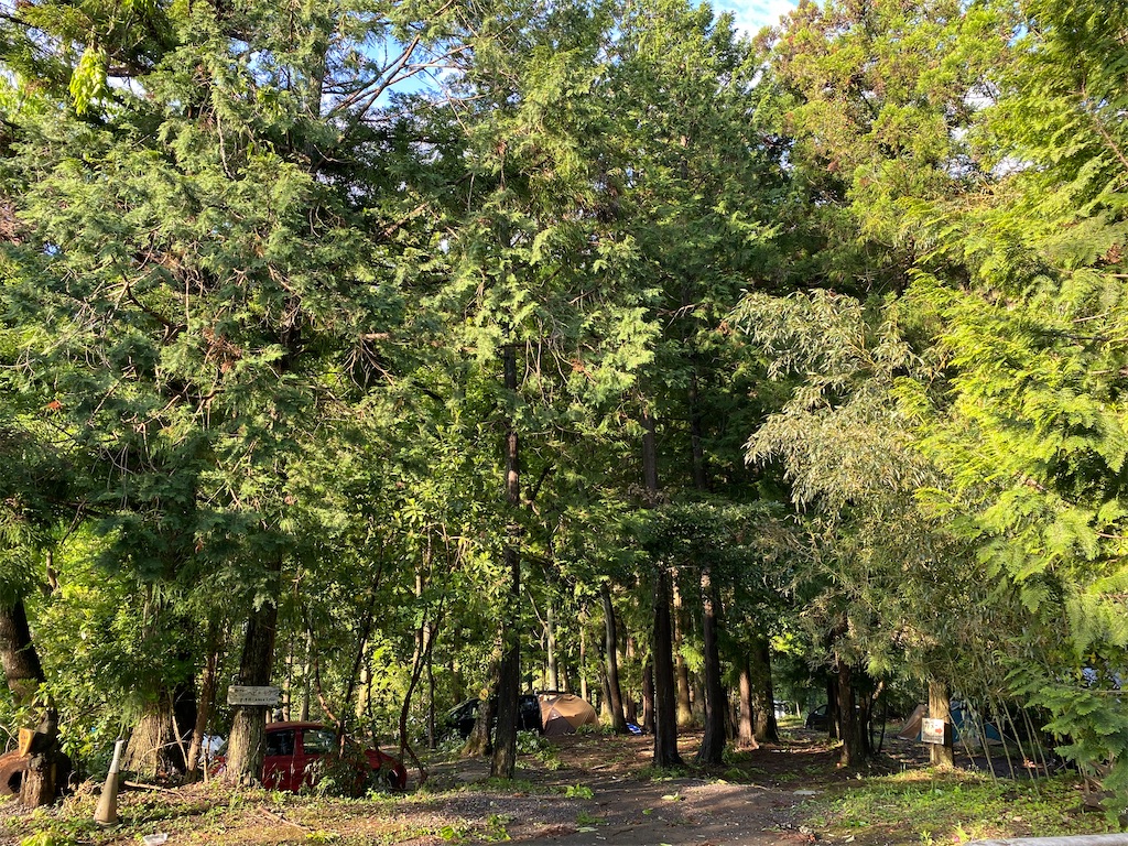 f:id:denkitunes:20210619114542j:image