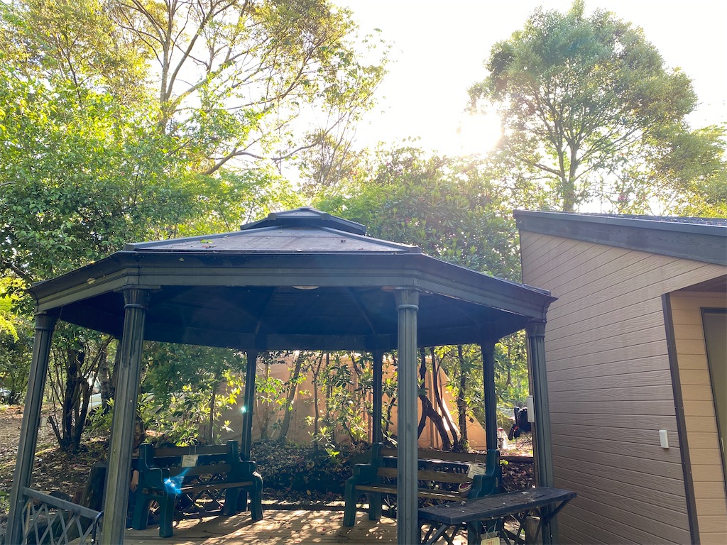 f:id:denkitunes:20210619114658j:image