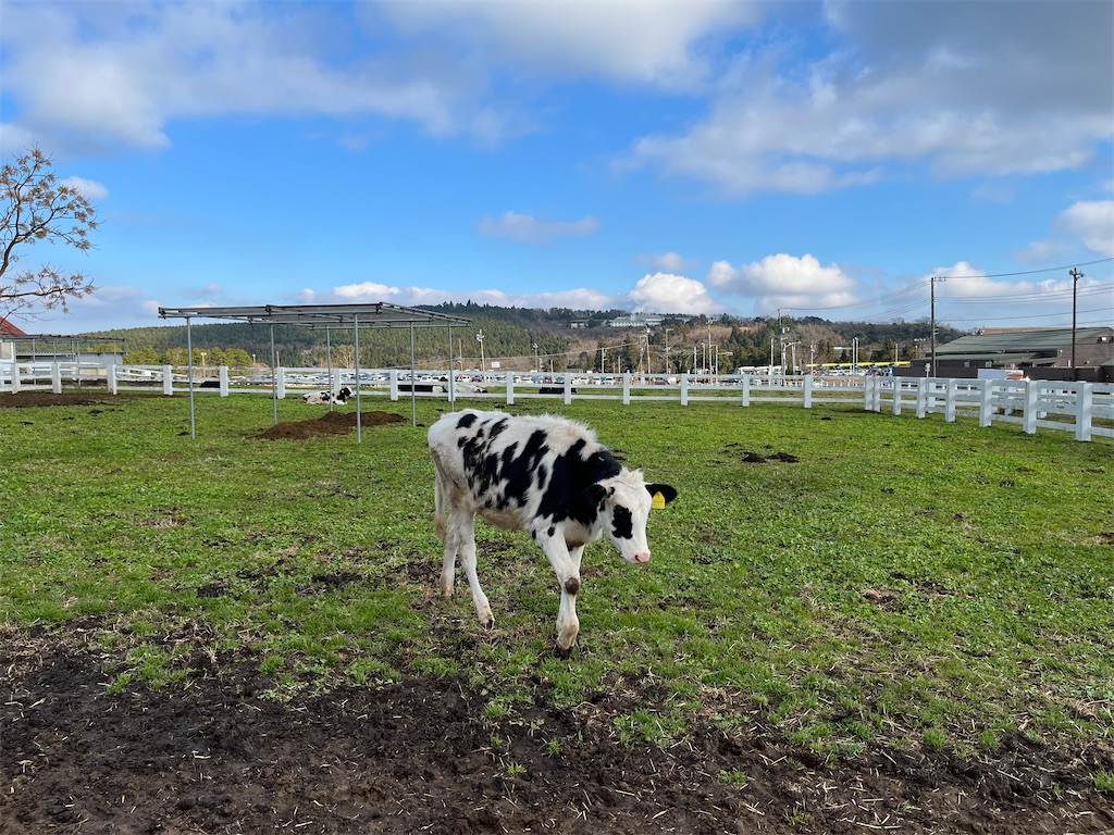 f:id:denkitunes:20211229181914j:image