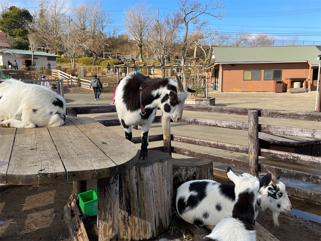 f:id:denkitunes:20211229201248j:image