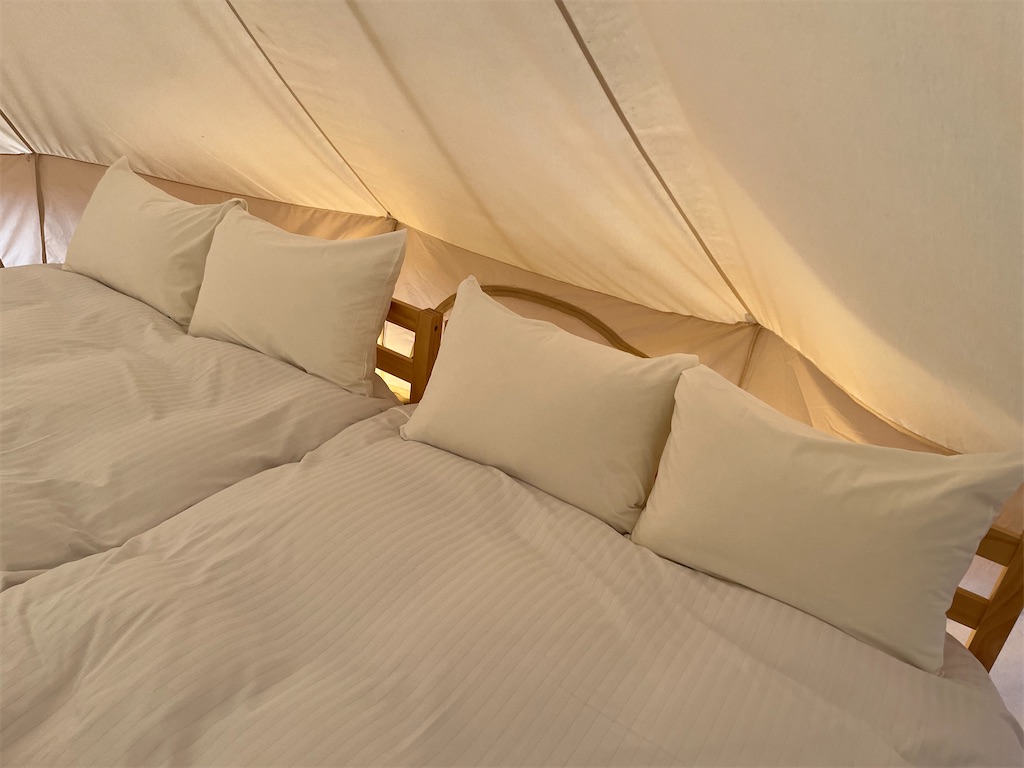 f:id:denkitunes:20211229203250j:image