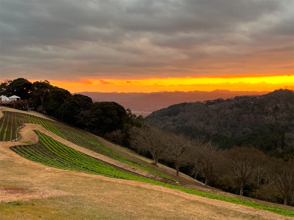 f:id:denkitunes:20211229203345j:image