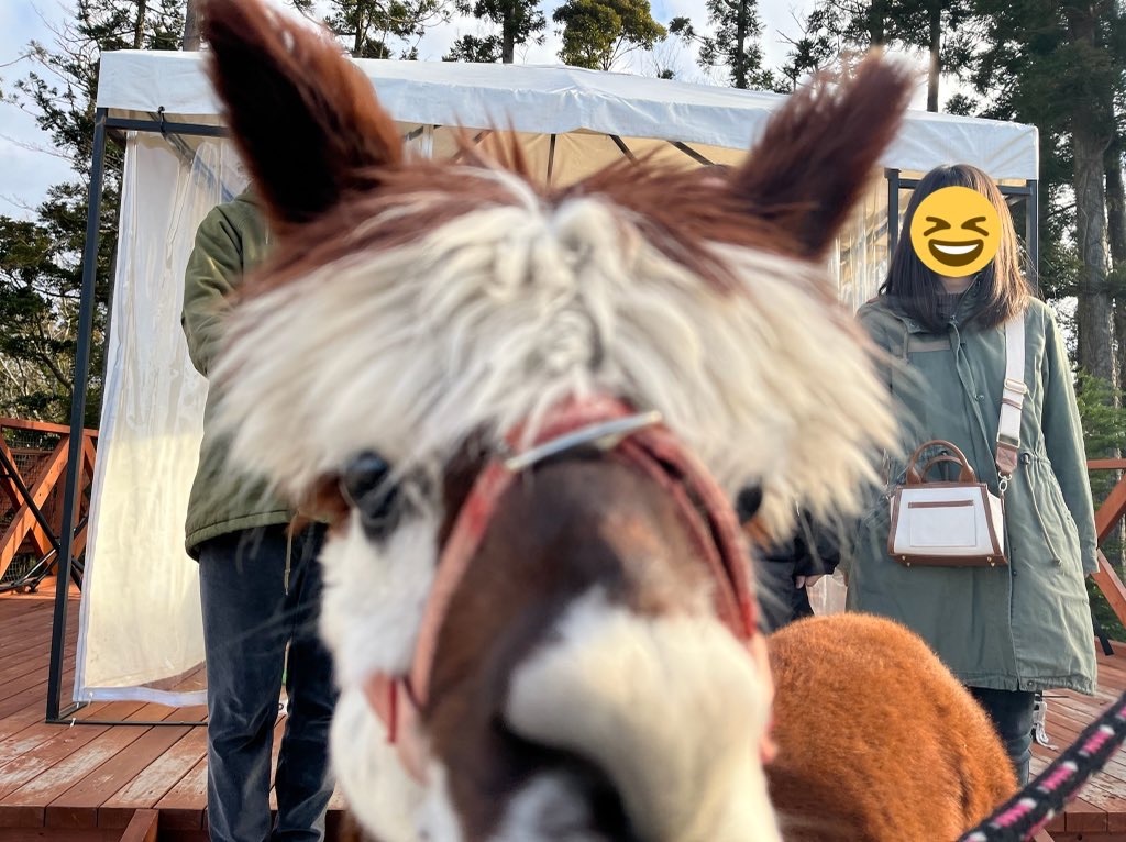 f:id:denkitunes:20211229204553j:image