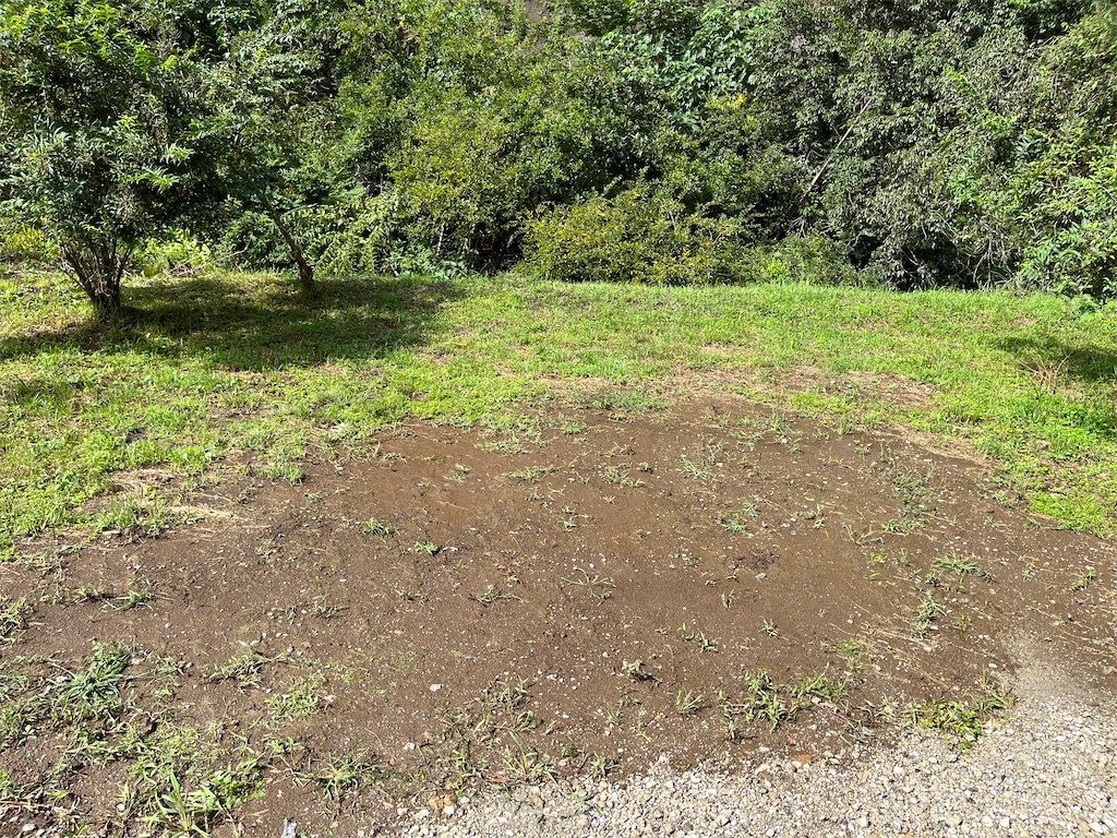 f:id:denkitunes:20220925193731j:image