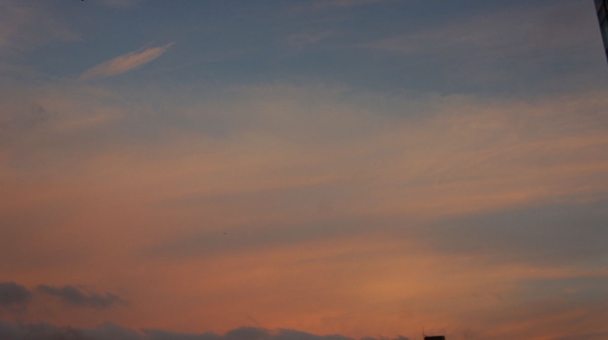 f:id:denpatsuhibi:20190702130804j:plain f:id:denpatsuhibi:20190702130804j:plain