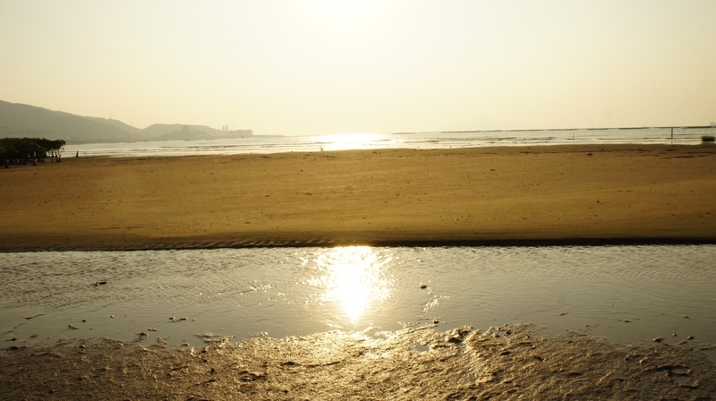 f:id:denpatsuhibi:20191112111824j:plain