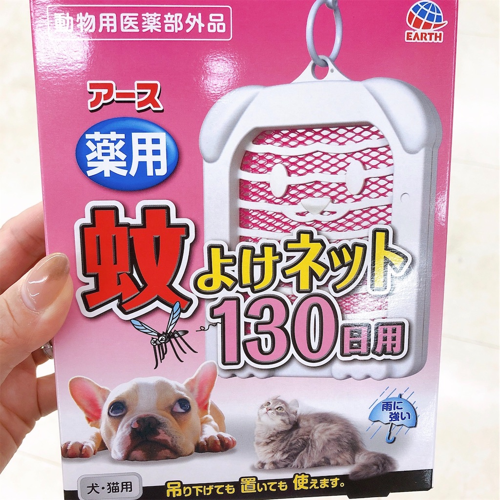 f:id:densetsu:20190818211311j:image