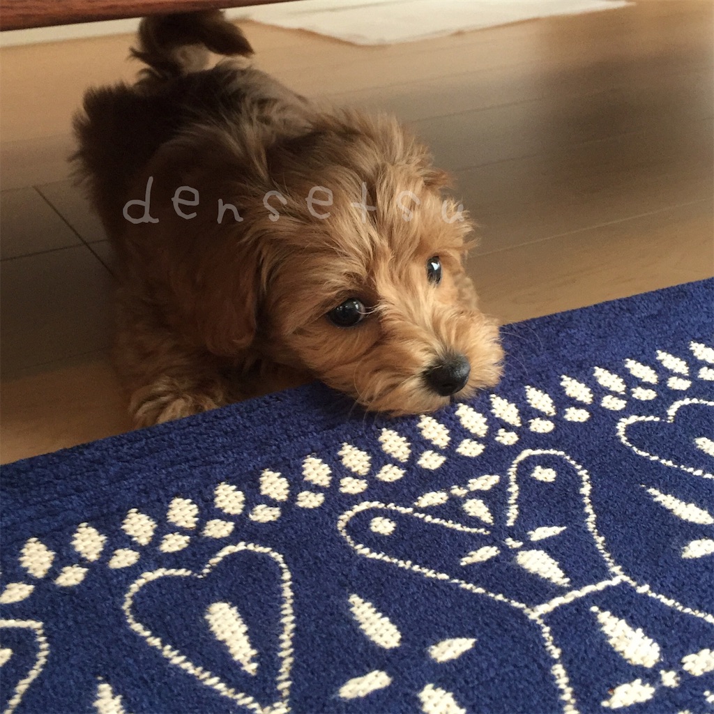 f:id:densetsu:20190820000744j:image