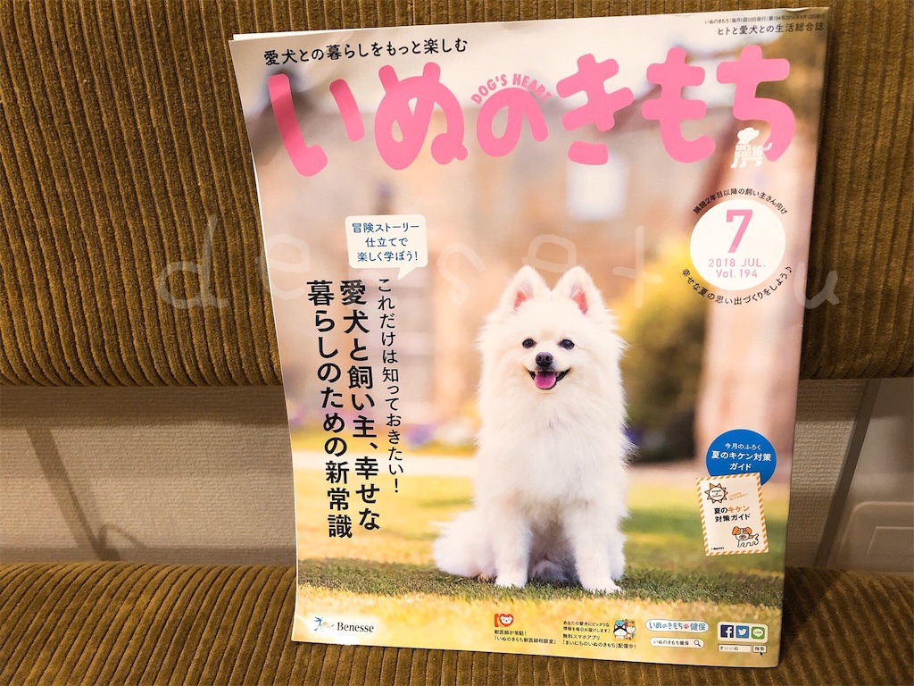 f:id:densetsu:20190825121949j:image