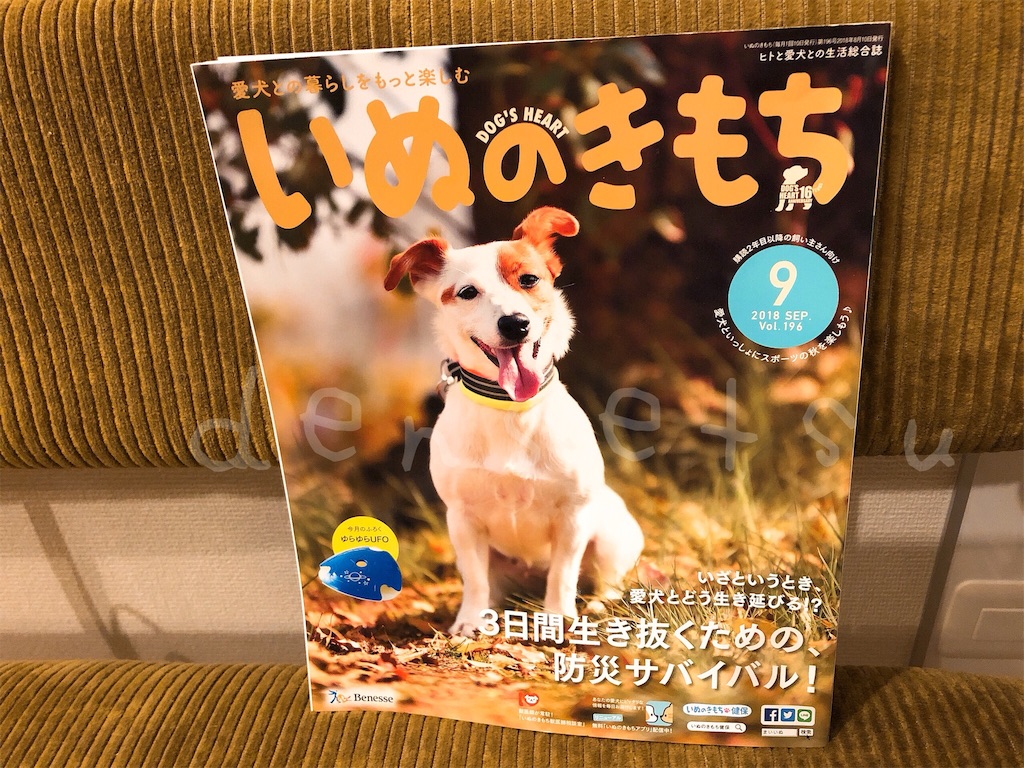f:id:densetsu:20190825122027j:image
