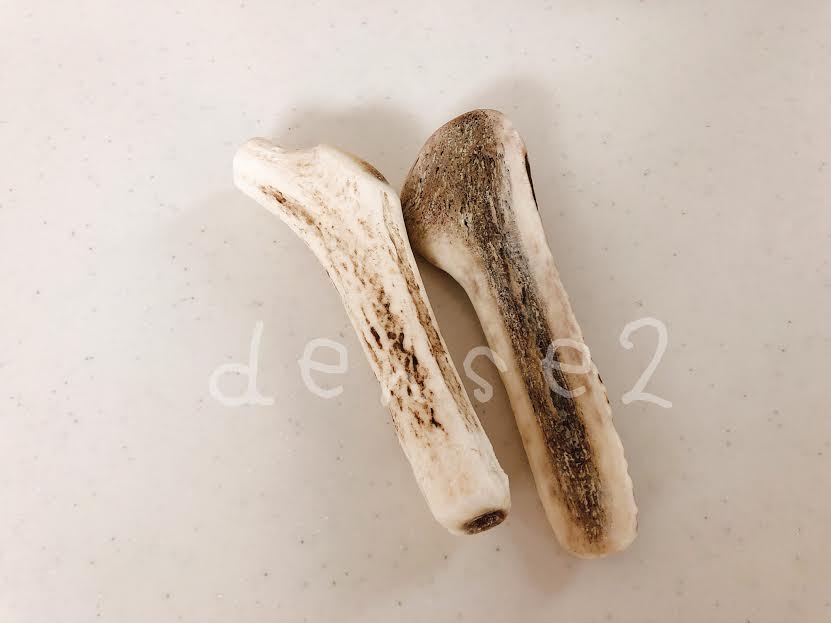 f:id:densetsu:20190911124134j:plain