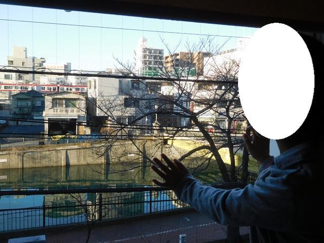 f:id:denshaouji:20190108082653j:plain