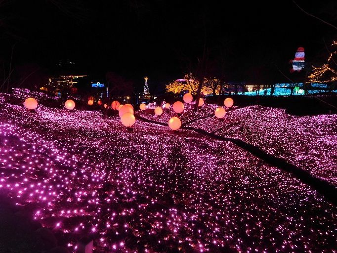 f:id:denshaouji:20190119154223j:plain f:id:denshaouji:20190119154223j:plain