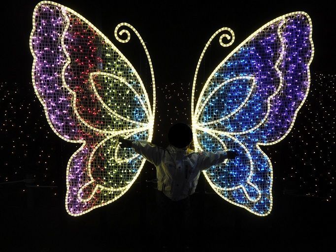 f:id:denshaouji:20190119154512j:plain f:id:denshaouji:20190119154512j:plain