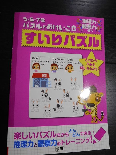 f:id:denshaouji:20190123075941j:plain