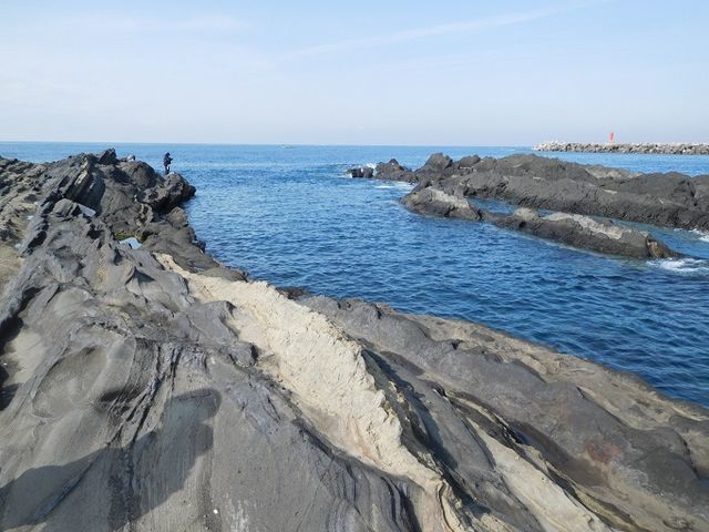 f:id:denshaouji:20190219034047j:plain