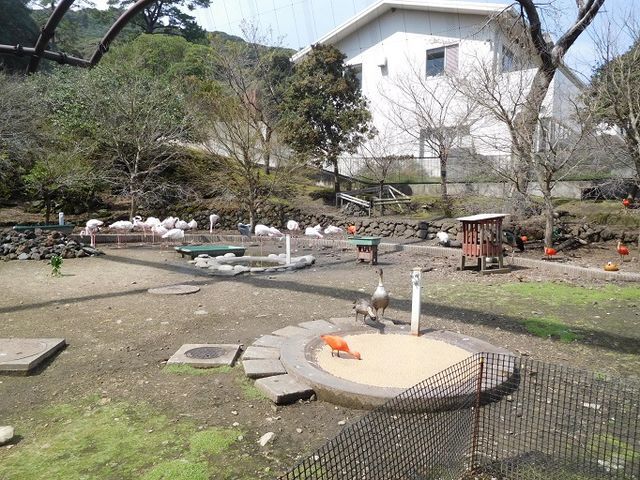 f:id:denshaouji:20190326075405j:plain